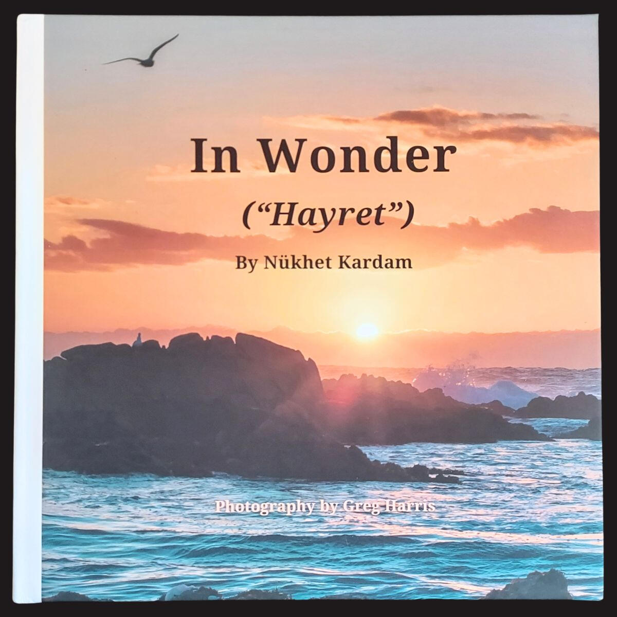 In Wonder ("Hayret") The latest book from Author & Poet, Nükhet Kardam, called "In Wonder (Hayret).